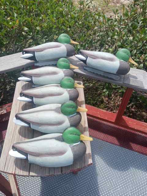 Mallard Duck Decoys