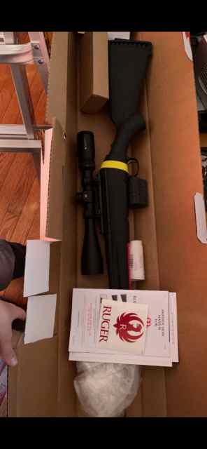 308 Ruger 