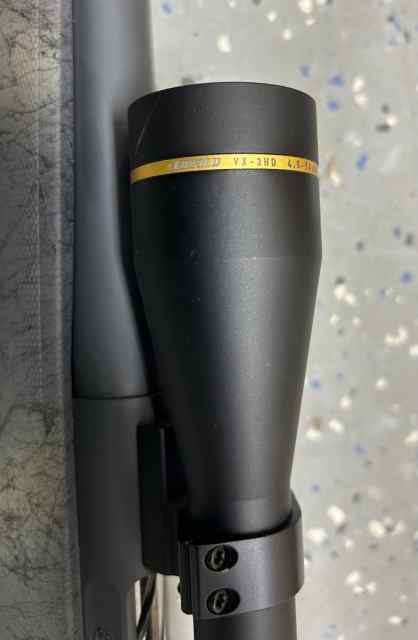 image1.jpeg