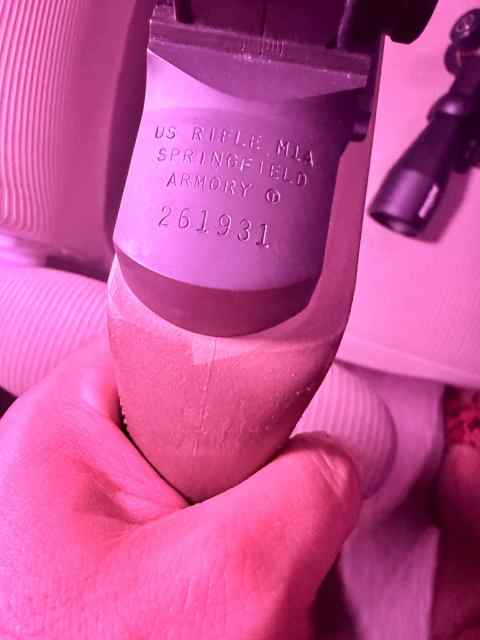 Complete Gun Collection - 4 Firearms