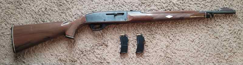 Remington Mohawk 10c 22lr