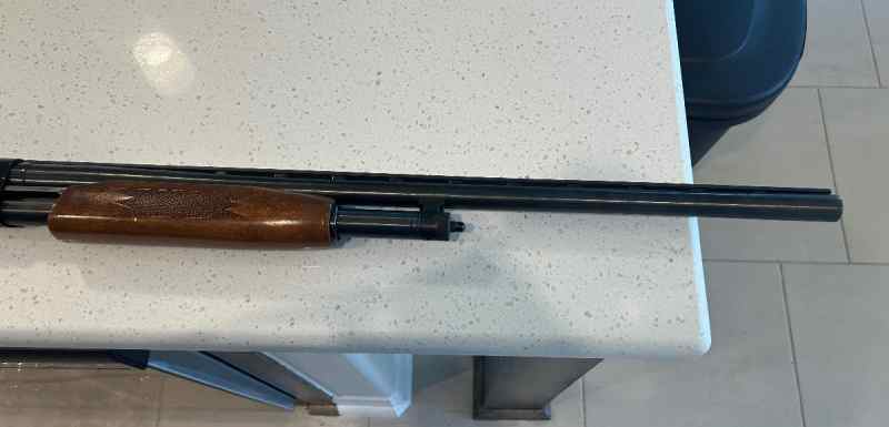 Mossberg 500 12 Gauge