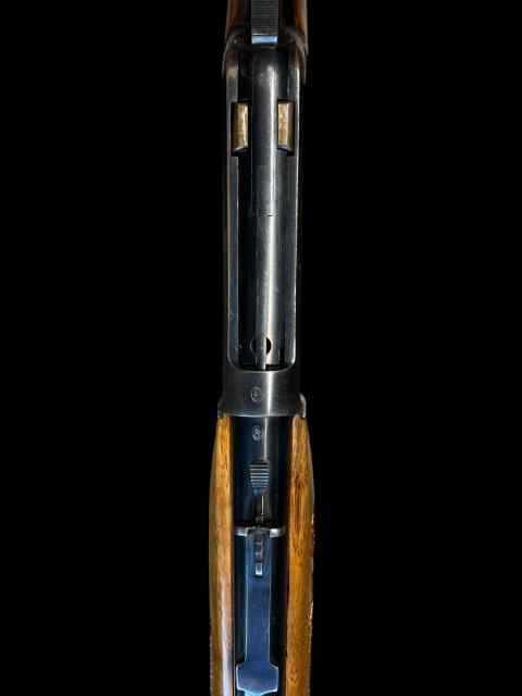 thumbnail_Photoroom_008_20250412_161010.jpg
