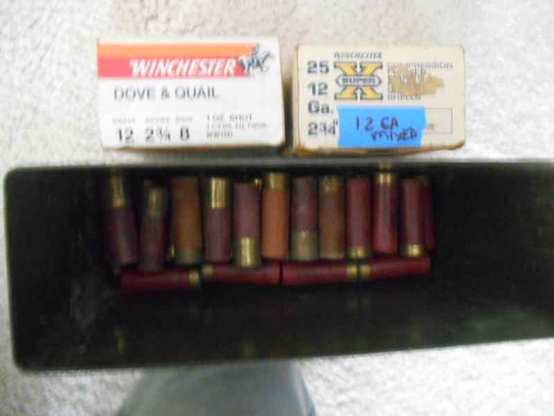 12 ga_5.JPG