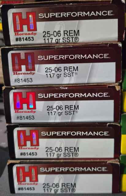 Hornady superformance 25-06 117 grain