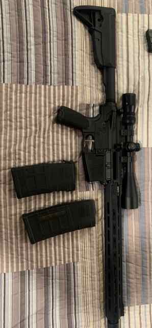 Springfield saint victor .308!