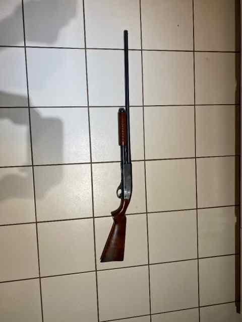 Remington 870 shotgun, wood stock