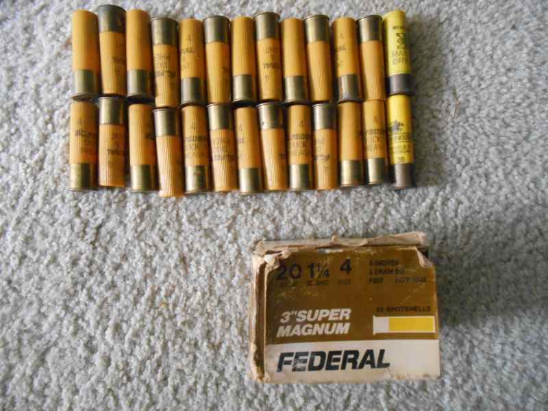 20 ga.JPG