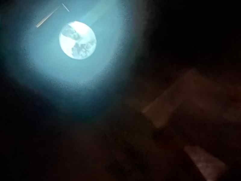 IMG_1822.jpeg