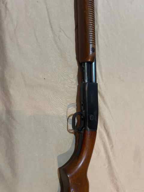 Routledge bore Remington .22