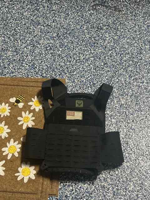WTS 2-3A curved plates+AR500 Invictus carrier