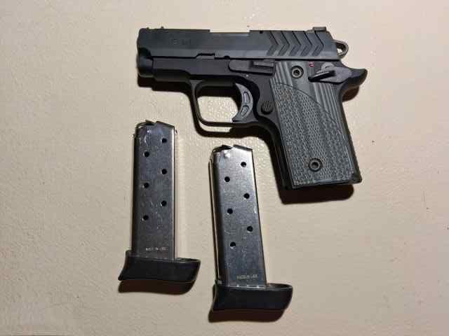 Springfield 911 in 380 ACP