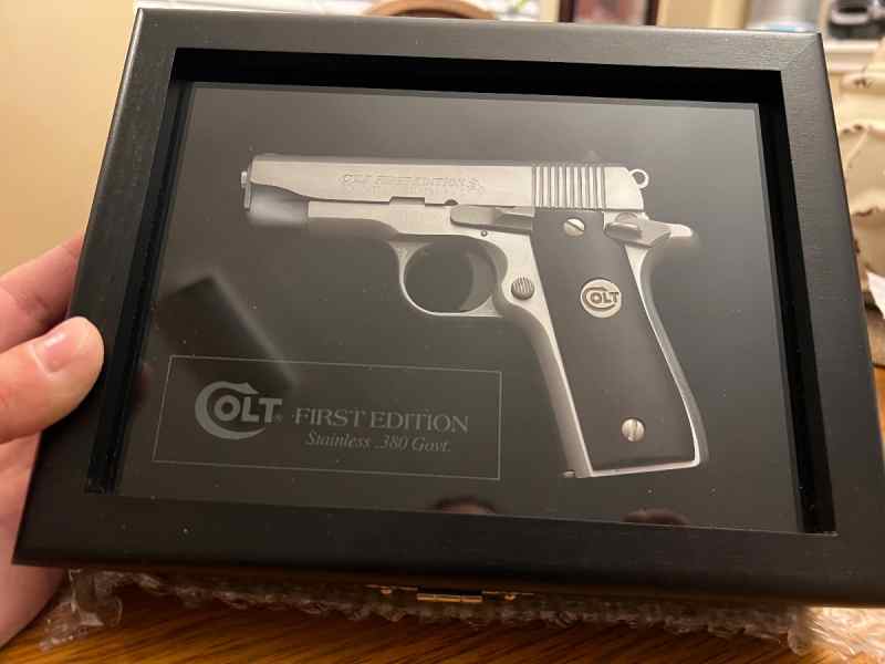 Colt First Edition Stainless Steel 380 Government