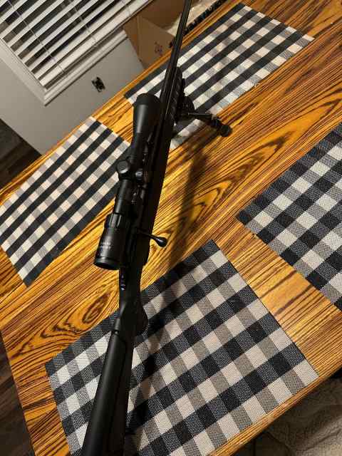 Ruger American 22WMR