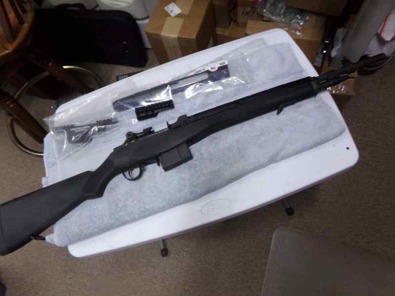 Springfield M1a Scout