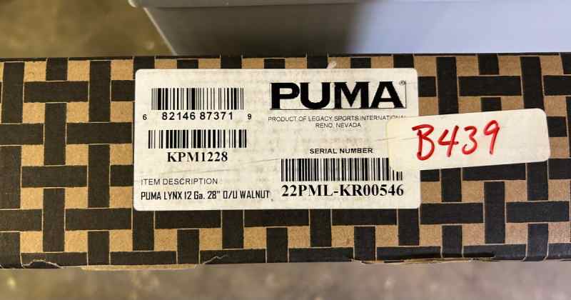 Puma1.jpg