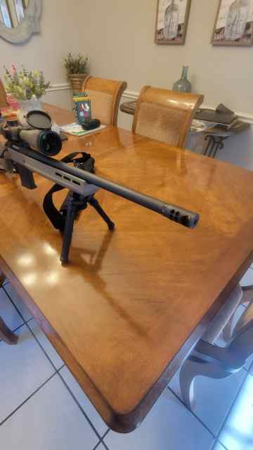 Ruger american hunter 308