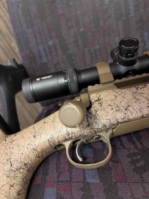 Custom Remington 700 build 