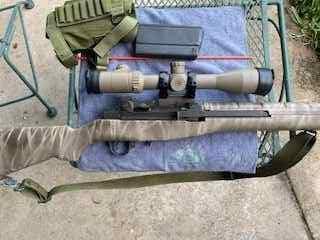 m14-4.jpg