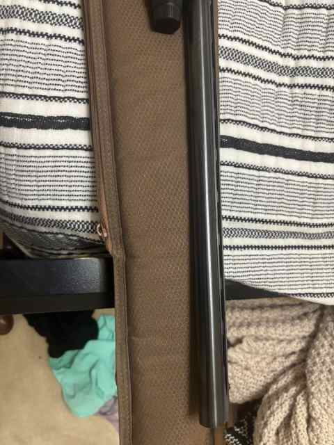 IMG_1433.jpeg
