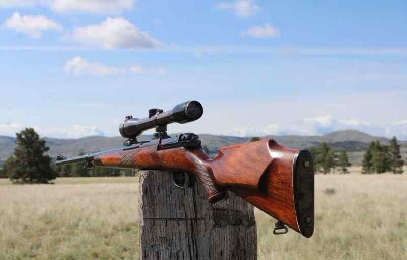 Mauser Model 66 .30-06 with Claw-Mounted German