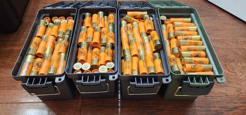 12ga buckshot