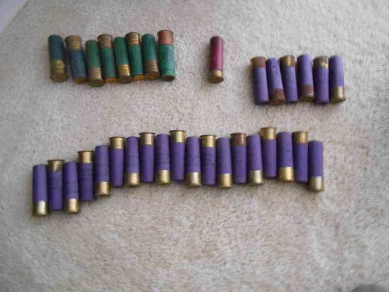 16 ga.JPG