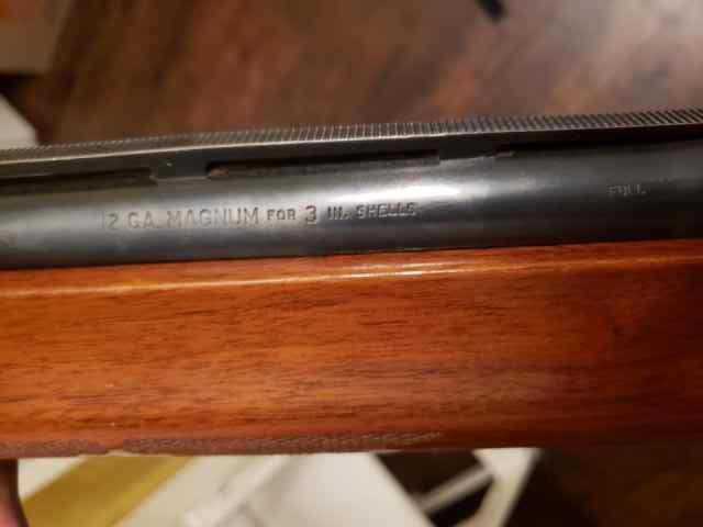 Resized_20250416_203533.jpeg