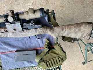 m14-1.jpg