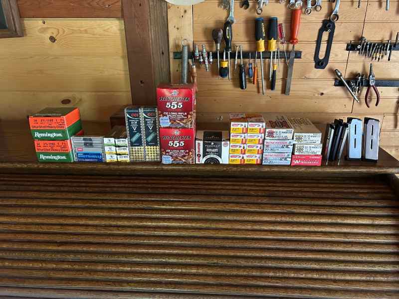 22 long rifle assortment of rounds