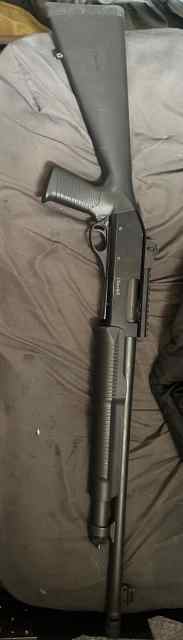 IMG_9155.jpeg